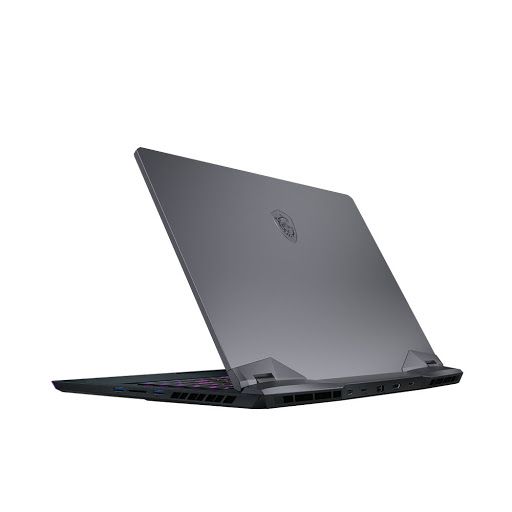 Laptop Gaming MSI Raider GE66 10SFS-474VN