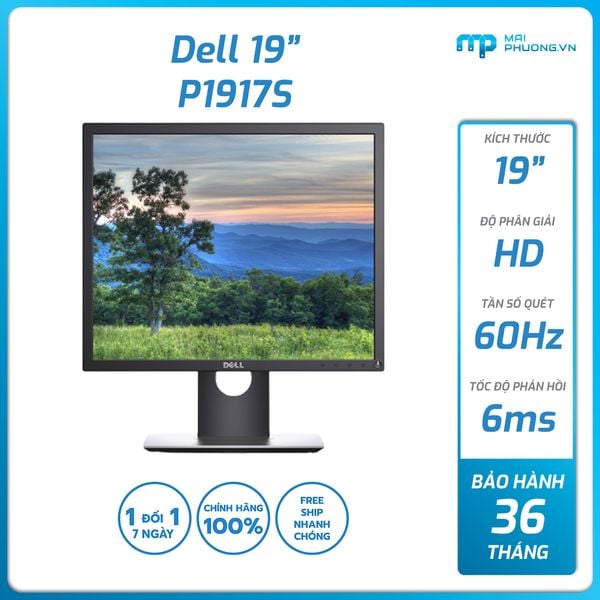 Màn hình Dell 19 inch  P1917S ( 4R8R8)