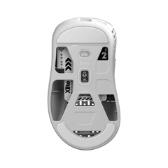 Chuột Pulsar Xlite Wireless V2 Mini [White]