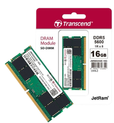 RAM Transcend  16GB/ 32GB JM DDR5 5600 SO-DIMM 1Rx8 2Gx8 CL46 1.1V NEW!!!