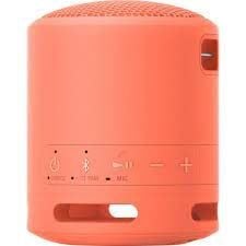 Loa Bluetooth Sony SRS-XB13/Pink