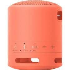 Loa Bluetooth Sony SRS-XB13/Pink