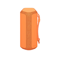 Loa Bluetooth SRS-XE200/DCE