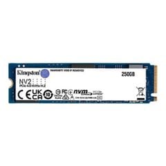 Ổ cứng gắn trong SSD Kingston NV2 250GB NVMe PCIe (SNV2S/250G)