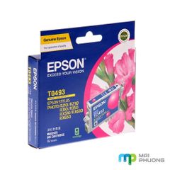 Mực In Epson T049390