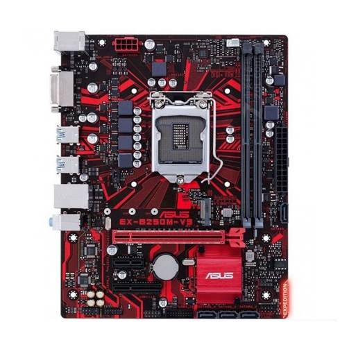 Mainboard Asus B250M-V5