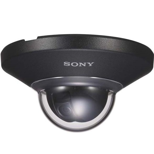 Camera Dome IP SONY SNC-DH110T