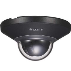 Camera Dome IP SONY SNC-DH110T