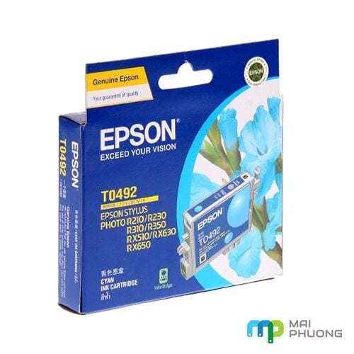 Mực In Epson T049190