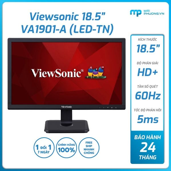 Màn hình LCD Viewsonic 19 inch VA1901-A