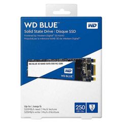 Ổ cứng gắn trong Western Digital Blue SSD M.2 250GB WDS250G2B0B