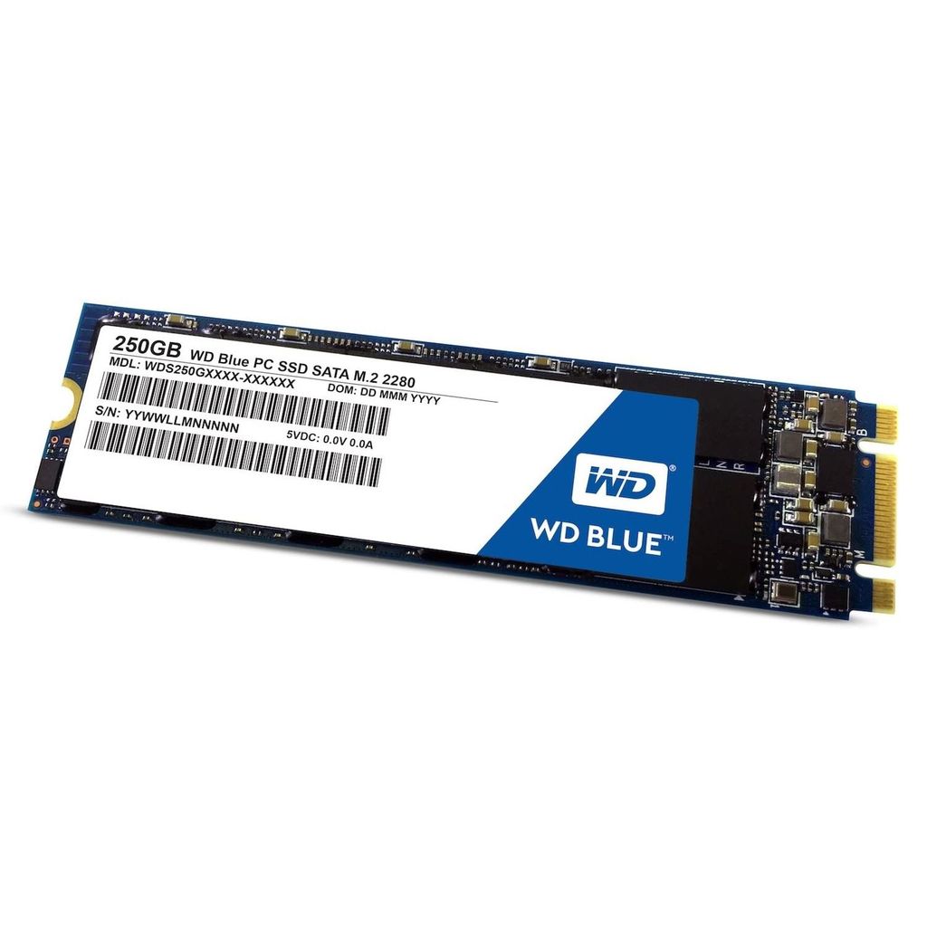 Ổ cứng gắn trong Western Digital Blue SSD M.2 250GB WDS250G2B0B