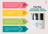 Kem Dưỡng Trắng Da Trị Nám Exosome Mela Whitening – DowC Cream