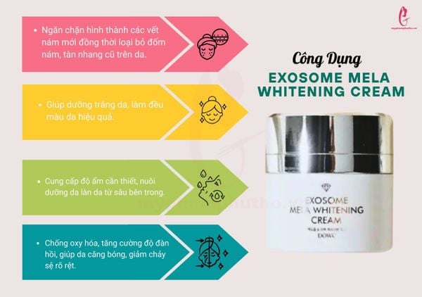Kem Dưỡng Trắng Da Trị Nám Exosome Mela Whitening – DowC Cream