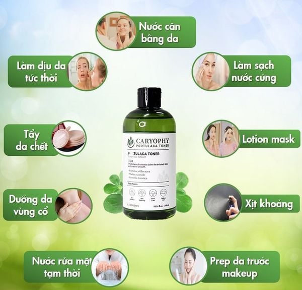 công dụng Nước Hoa Hồng Caryophy Portulaca Toner