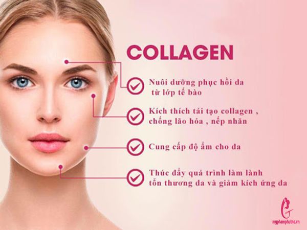 công dụng The Collagen shiseido dạng bột Nhật Bản