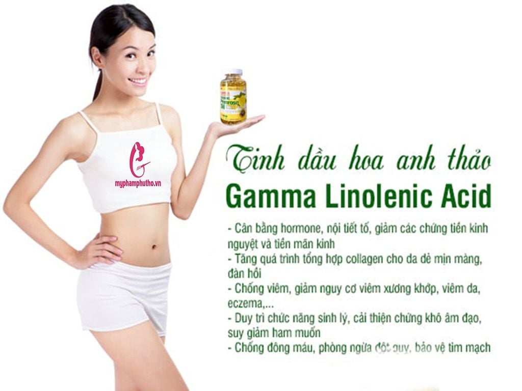 Công dụng Tinh Dầu Anh Thảo Evening  Primrose Oil 300 viên Hàn Quốc