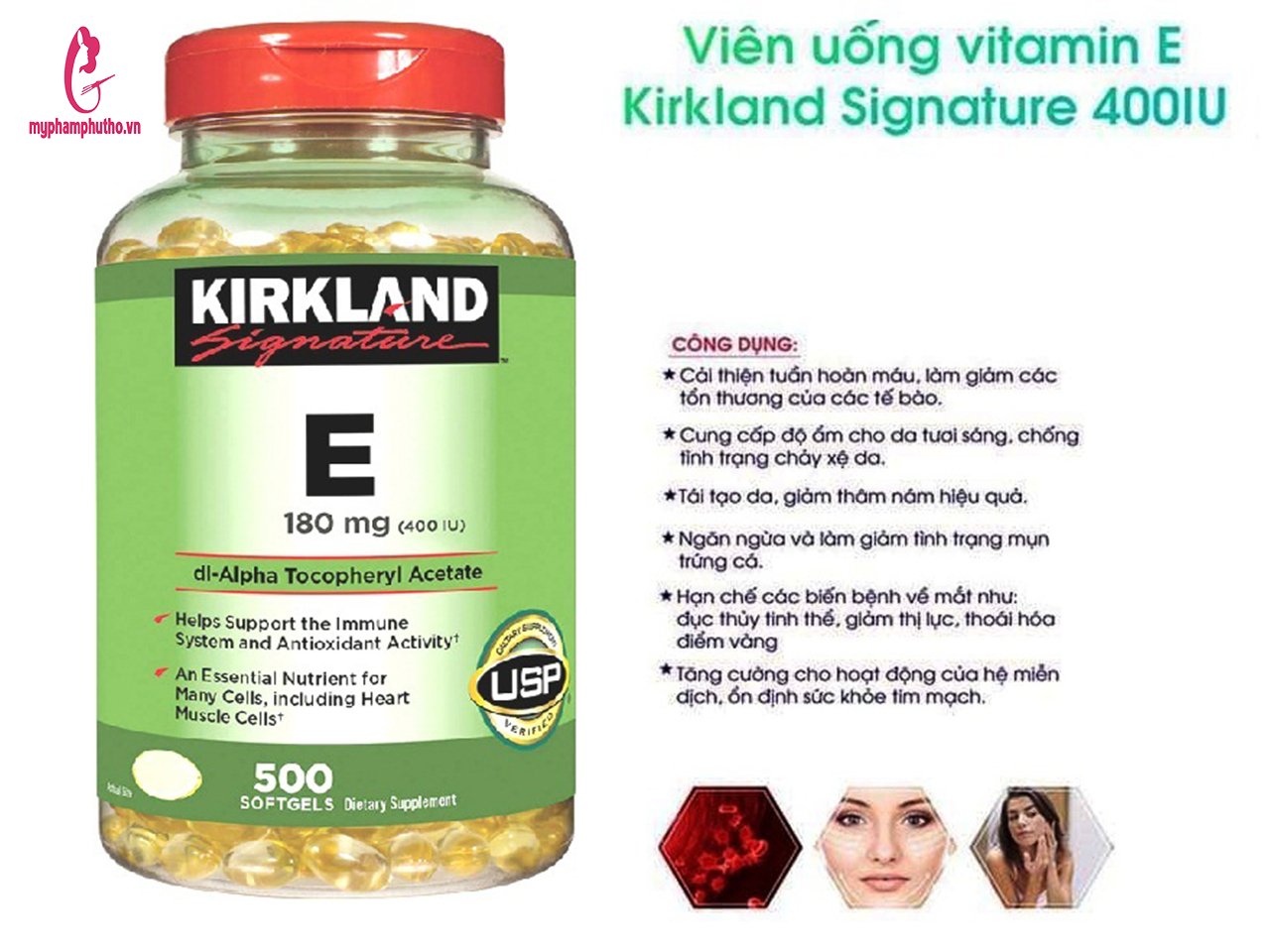 7. Chống oxy hóa và bảo vệ tế bào