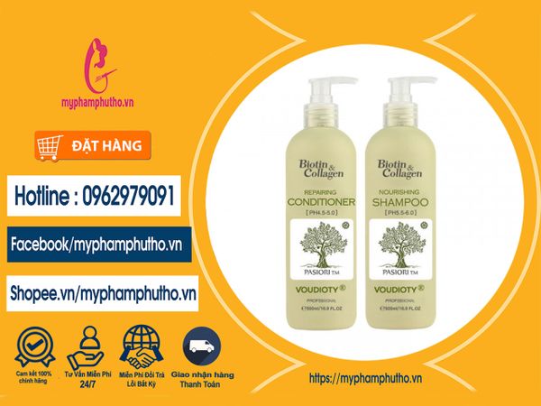 Dầu Gội Biotin & Collagen Conditioner màu xanh Mua ở Đâu