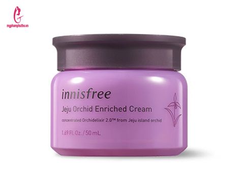 Kem Dưỡng Innisfree Jeju Orchid Enriched Hoa Lan Tím Chống Lão Hóa