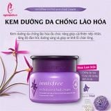 thành phần Kem Dưỡng Innisfree Jeju Orchid Enriched Hoa Lan Tím Chống Lão Hóa
