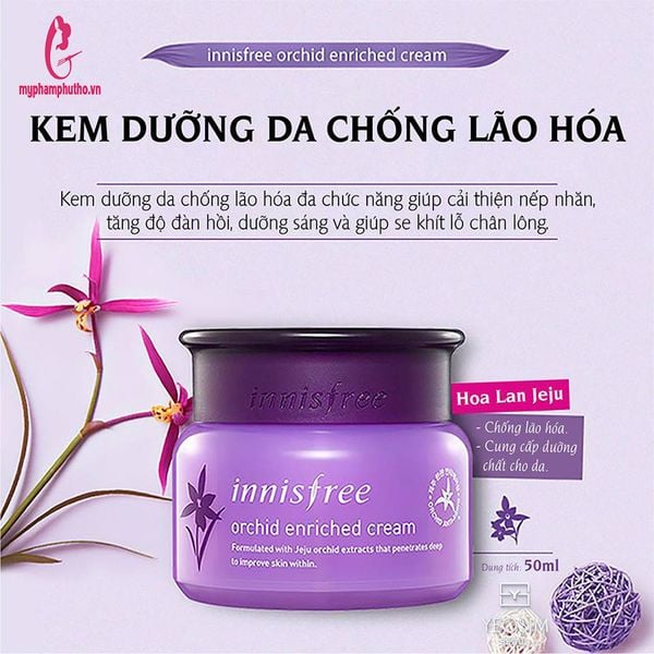 thành phần Kem Dưỡng Innisfree Jeju Orchid Enriched Hoa Lan Tím Chống Lão Hóa