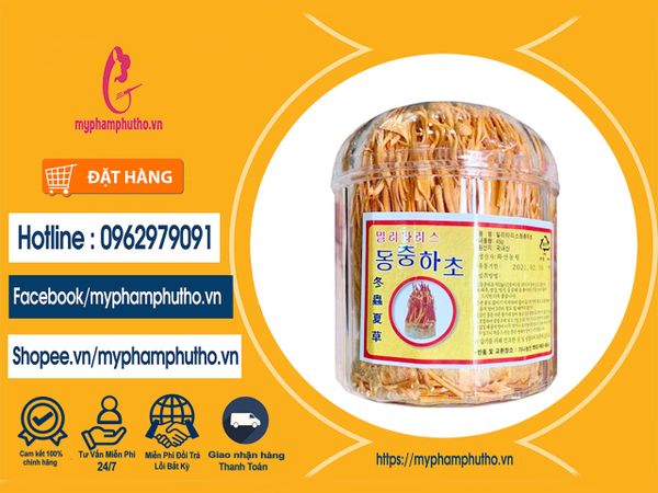Nấm đông trùng hạ thảo Mua ở Đâu