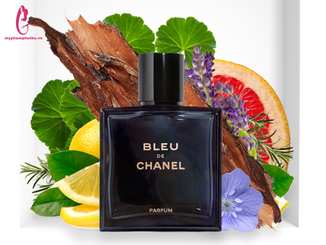 Chanel Bleu de Chanel Parfum 2018  Missi Perfume