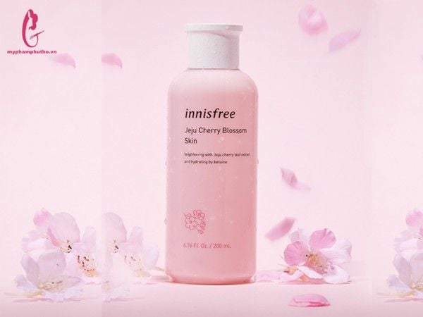 nước hoa hồng innisfree hoa anh đào