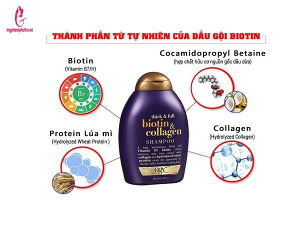 thành phần Cặp Dầu Gội Xả Biotin And Collagen USA