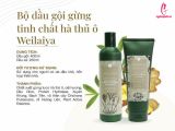 thành phần Cặp Dầu Gội Xả Gừng Weilaiya
