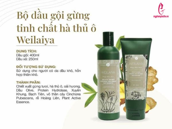 thành phần Cặp Dầu Gội Xả Gừng Weilaiya