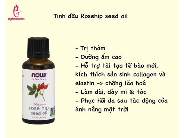 Tinh Dầu Hạt Tầm Xuân Now Food Rosehip Seed Oil