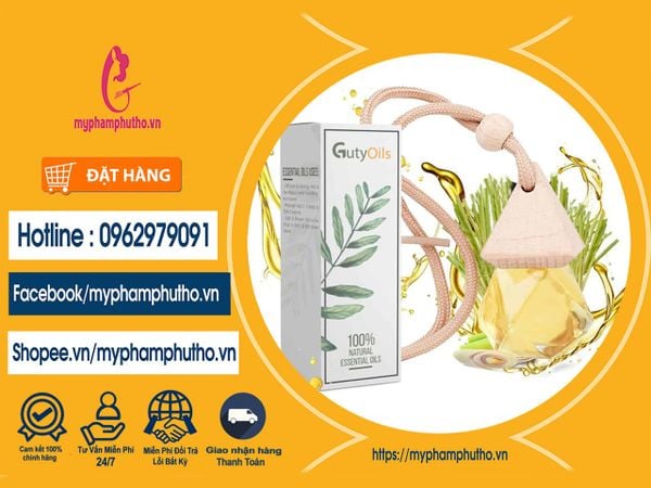 Tinh dầu treo xe Mua Ở Đâu