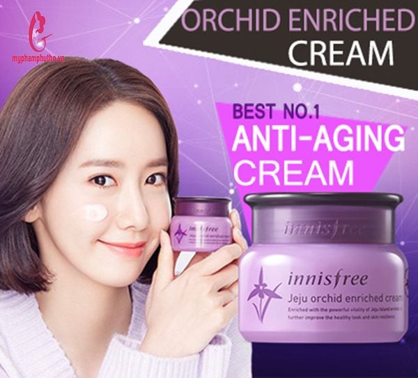 hướng dẫn sử dụng Kem Dưỡng Innisfree Jeju Orchid Enriched Hoa Lan Tím Chống Lão Hóa