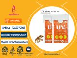 Viên Uống Chống nắng UV Plus+ Block100 45 ngày  Nhật Bản Mua ở Đâu