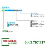 Cảm biến áp suất Delta DPA10N-P
