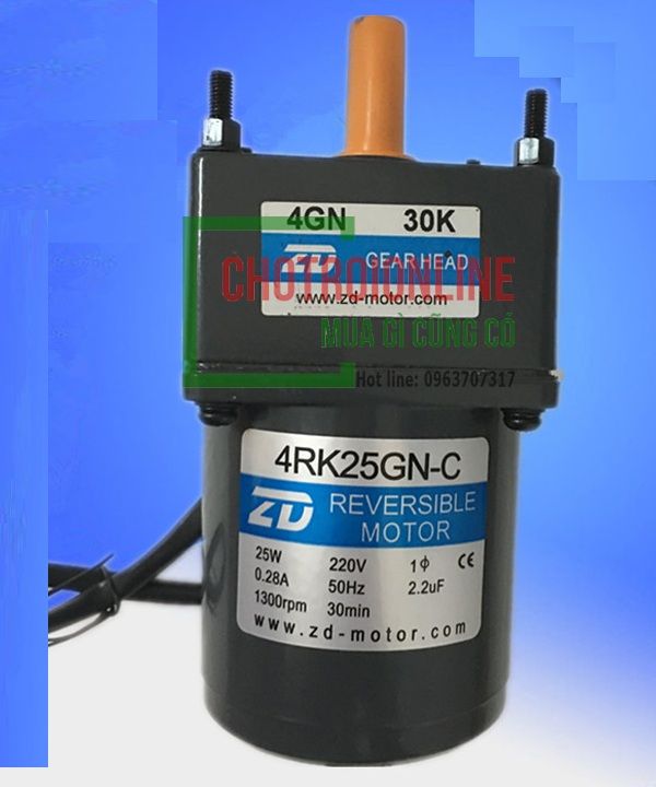 Motor + hộp số Maily TQ, 25W, 1/30 (4IK-25RGN-CF-4GN-30-K)