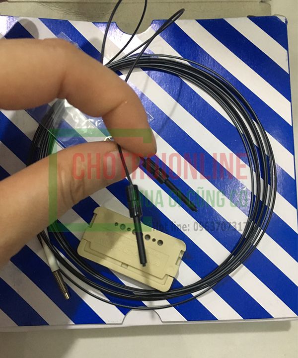 cảm biến panasonic FD-41