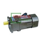 Động cơ kèm hộp số 15W- tỉ số truyền 1/15 model 3RK-15RGN-CF-3GN-15-K