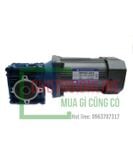 Motor TCG - Động cơ TCG ba pha