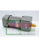 TCG gear motor