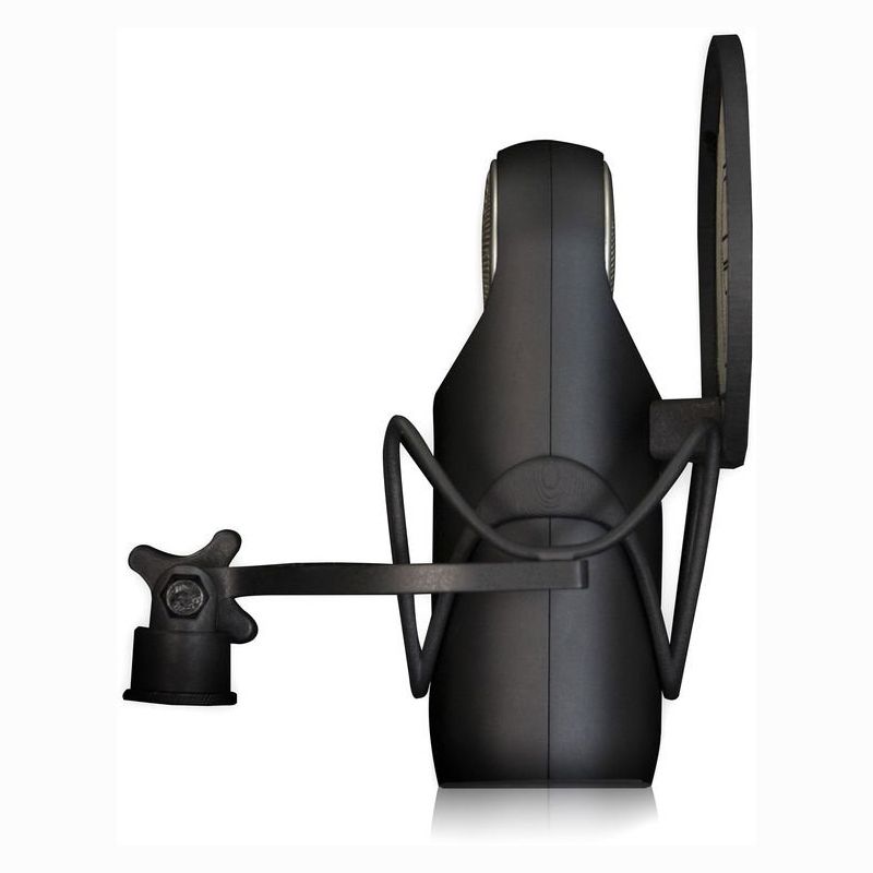 Microphone Aston Element