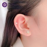  Bông Tai Đồng Xu - Bông Tai Đồng Tiền Bạc 925 - Hoa Tai Kim Tiền - Lucky Coin Earrings 