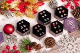  Snowflake Christmas Gift Jewelry Set - Set Bộ Hoa Tai Christmas - Quà Tặng Giáng Sinh 