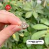 Nhẫn Hồ Ly Thu Hút May Mắn Tình Duyên - Nhẫn Đá Hồ Ly Sapphire Xanh Đen 234SR