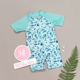  Bọ bơi liền Colloky xanh trời hoa bé gái 