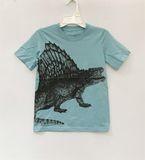  Áo thun C4RTER xanh khủng long bé trai 