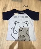  Áo gấu xanh little one bé trai - C44 