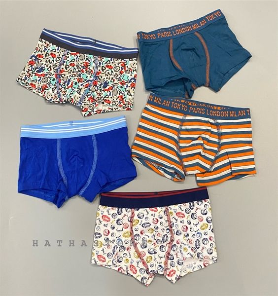  Set 5 quần chip T3X cho bé trai 